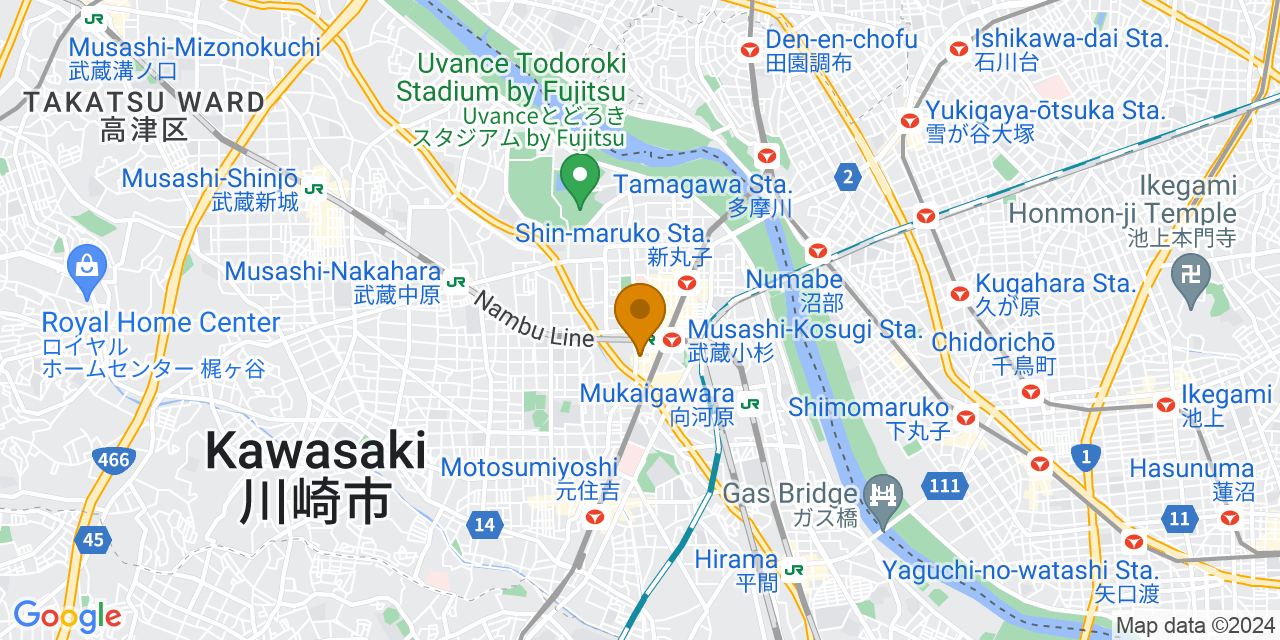 IY武蔵小杉駅前地図